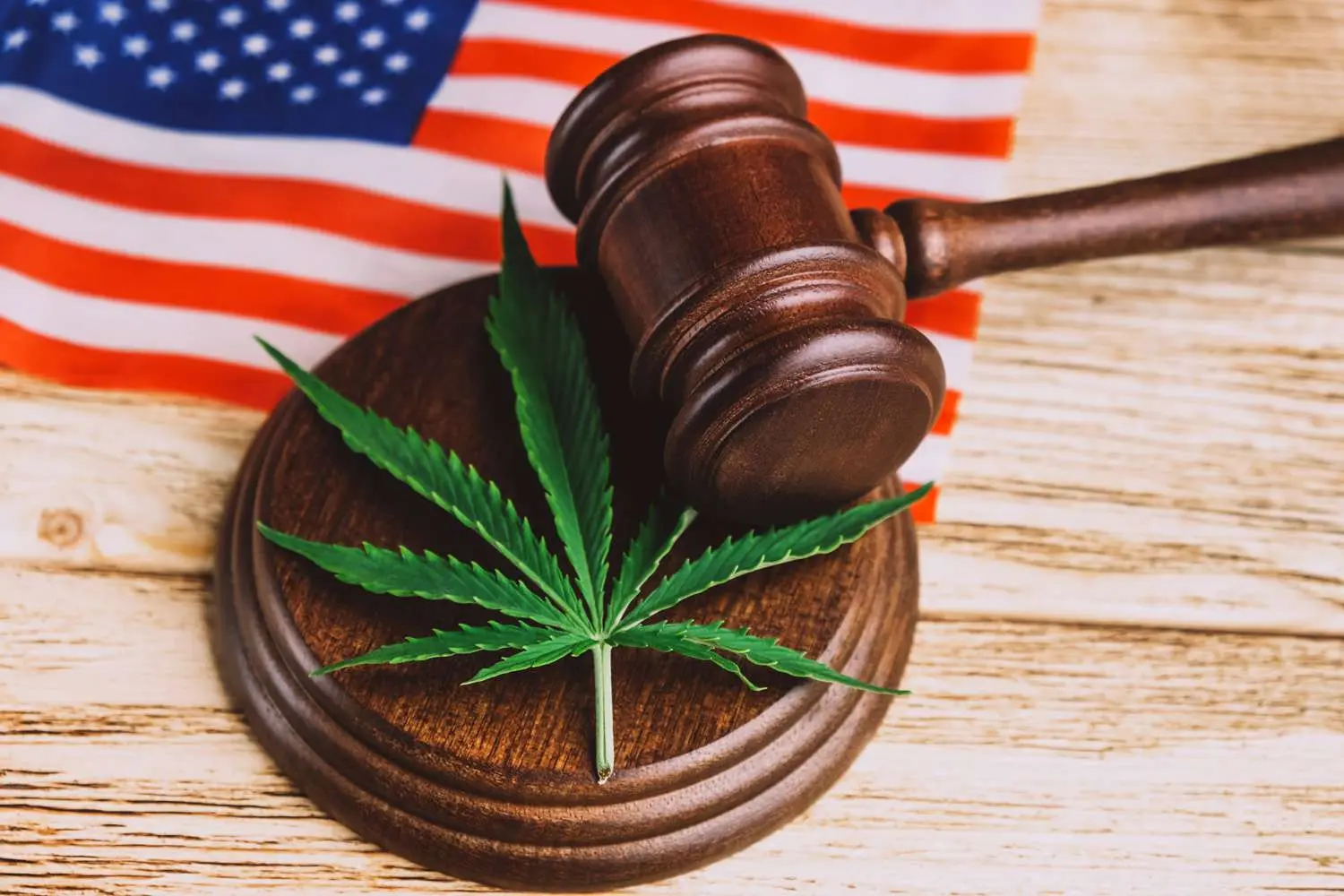 Marijuana Legislation Ambrosia