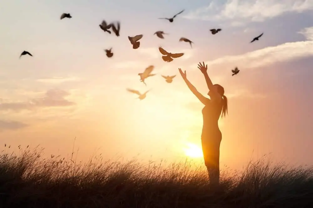 woman at sunset with birds