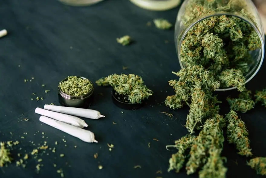 How to stop using weed ambrosia