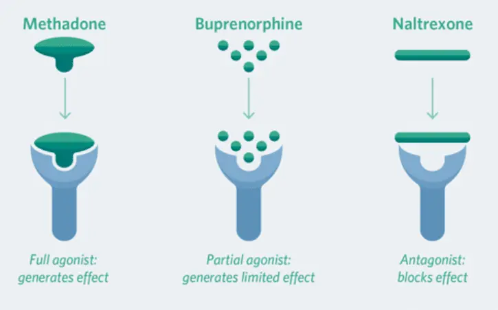 Methadone, Vivitrol and Suboxone