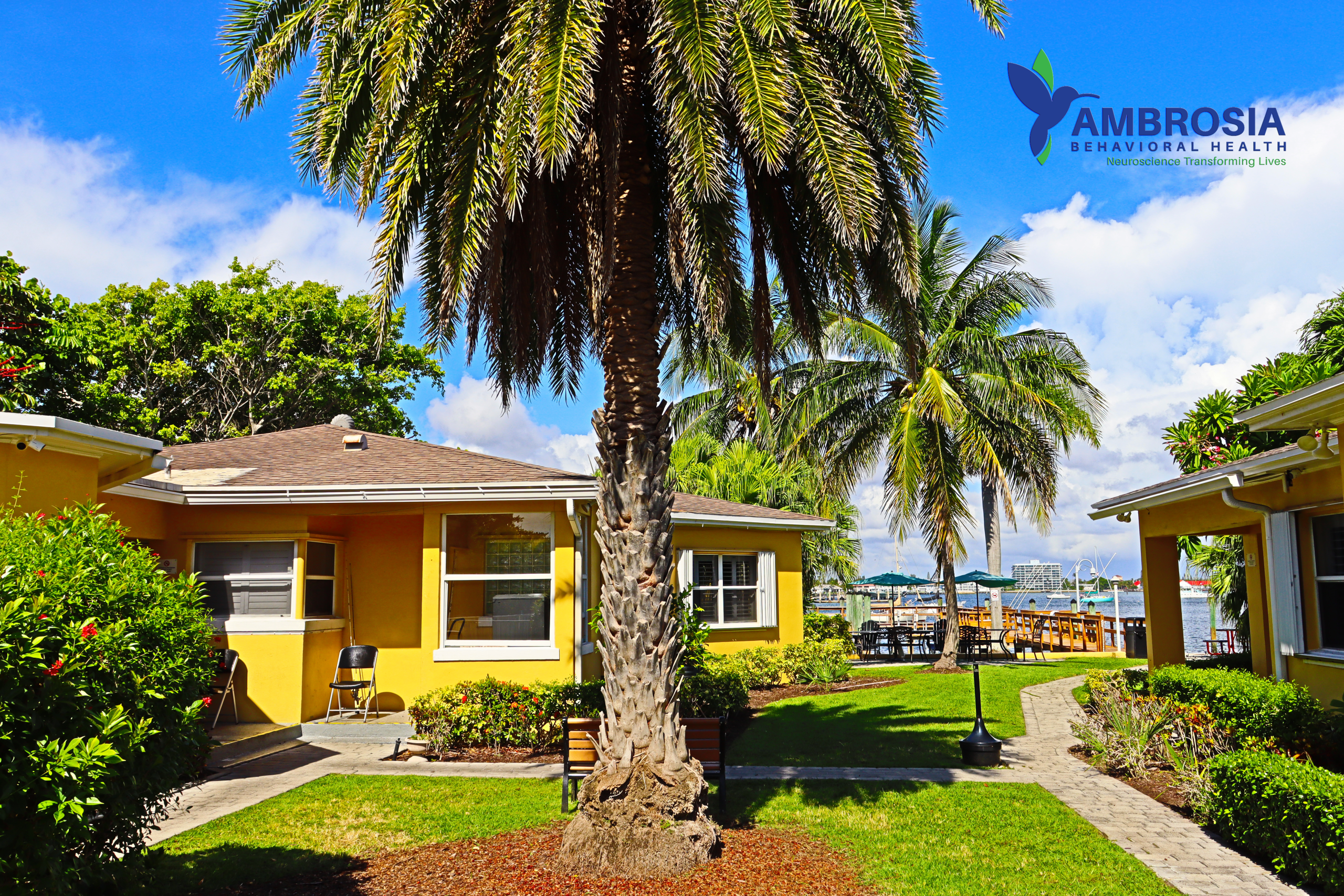 Rehabs in Florida Mental Health Facilities Near me. Drug Rehab Near Me. Rehabs in Florida. Ambrosia Behavioral Health. rehab centers near me.