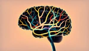 Brain Mapping at Ambrosia South Florida