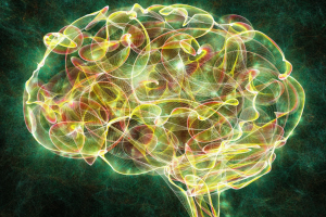Brain Differences in Children Prone to Drug Experimentation