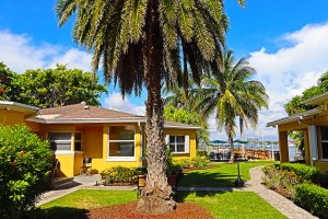 Teen addiction and mental health treatment at Ambrosia Behavioral Health in Florida