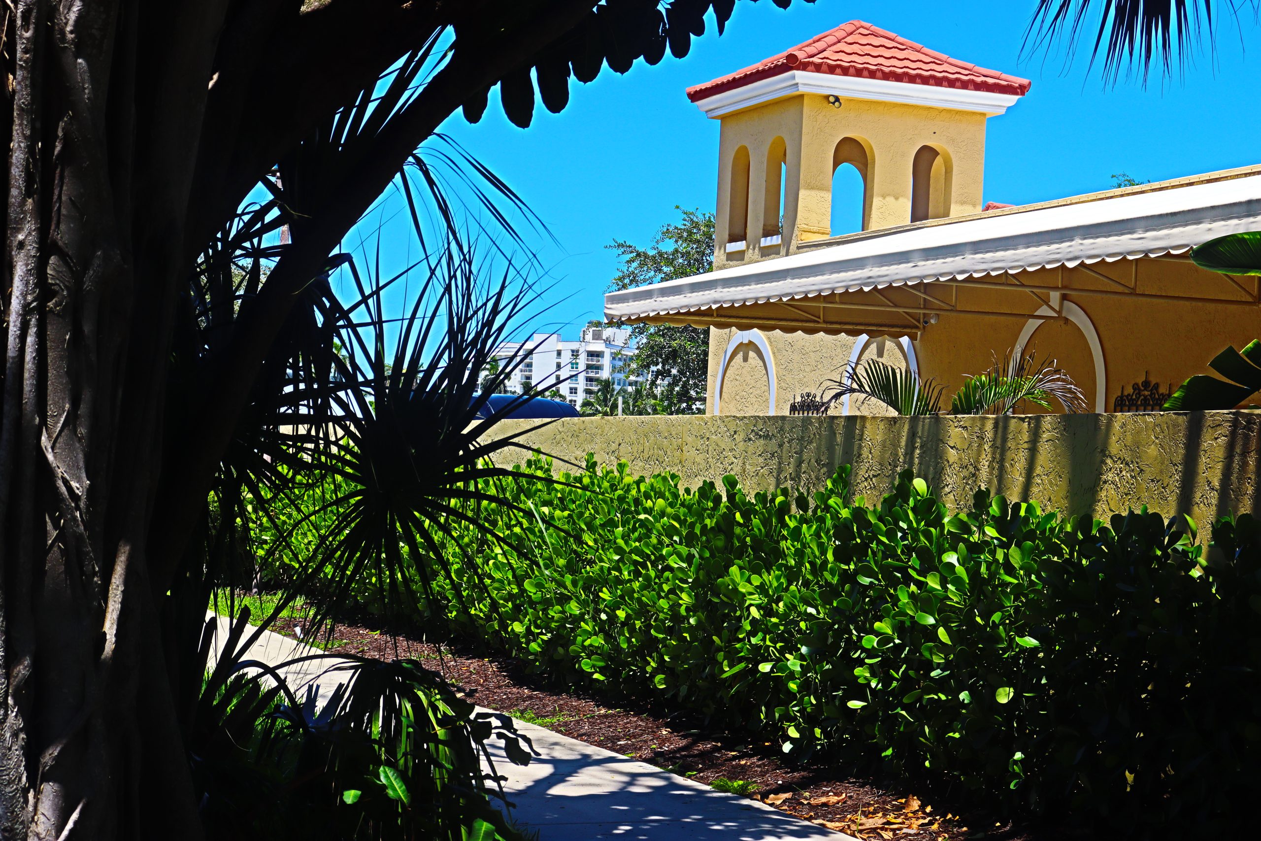 Mental Health Facilities Near Me Mental Health Facilities Near Me. Ambrosia Behavioral Health.