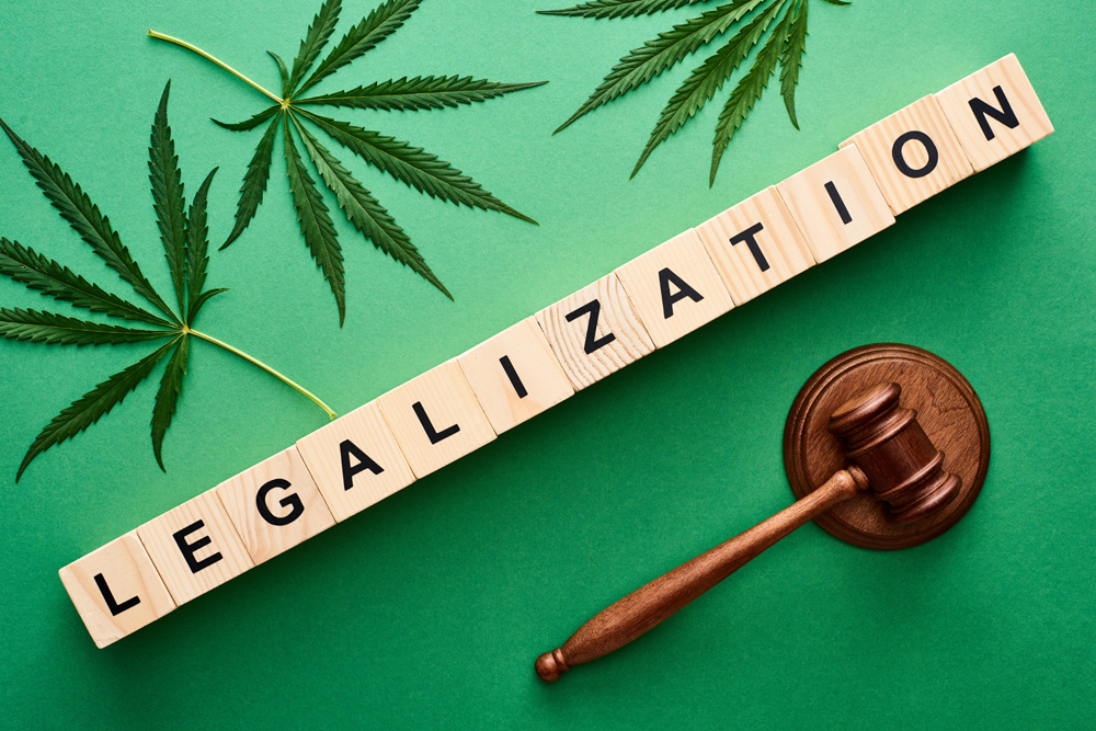 marijuana legalization marijuana legalization